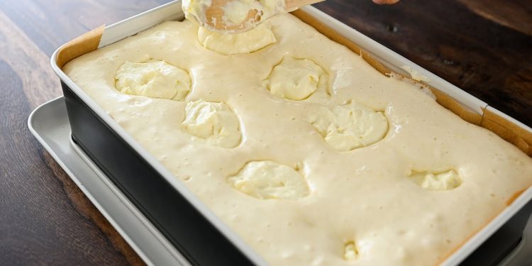 Prăjitură pufoasă cu brânză dulce și afine
